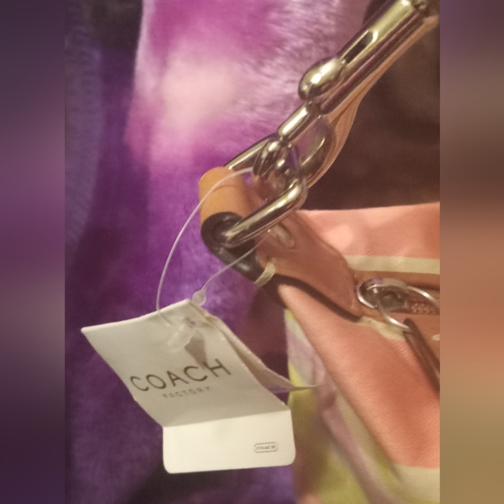 Coach 2011 Multicolor Striped Beach Top Handle Mini Bag NWT - Picture 5 of 12